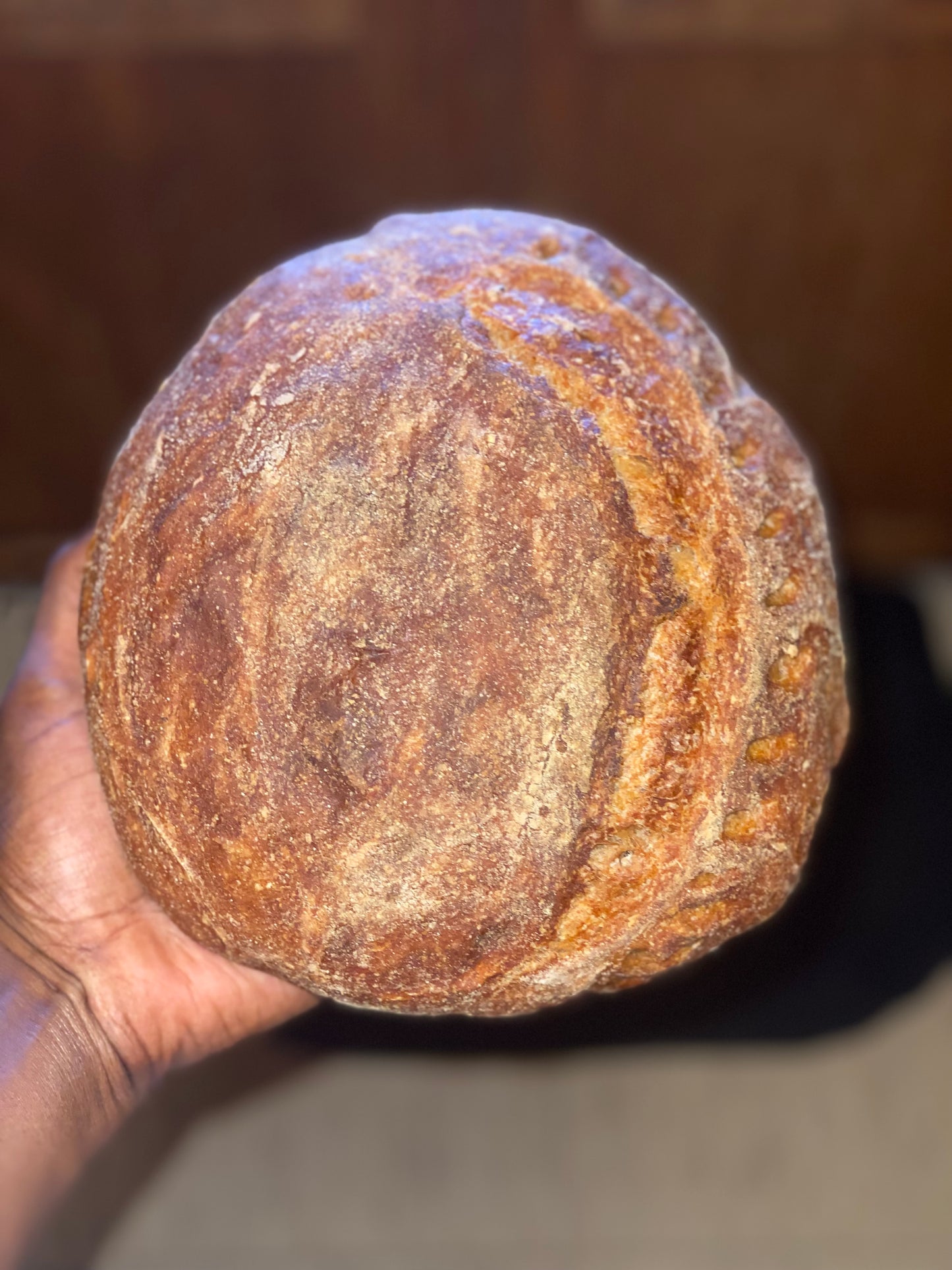 Whole Wheat Artisan Bread