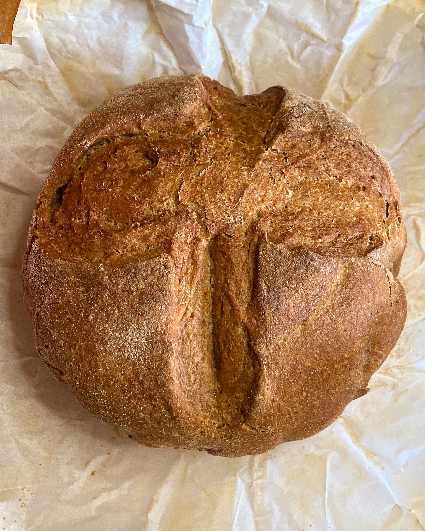 Whole Wheat Artisan Bread